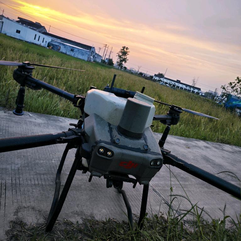 会飞飞机的小宁（助农）