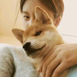 喜欢吃番茄炒蛋