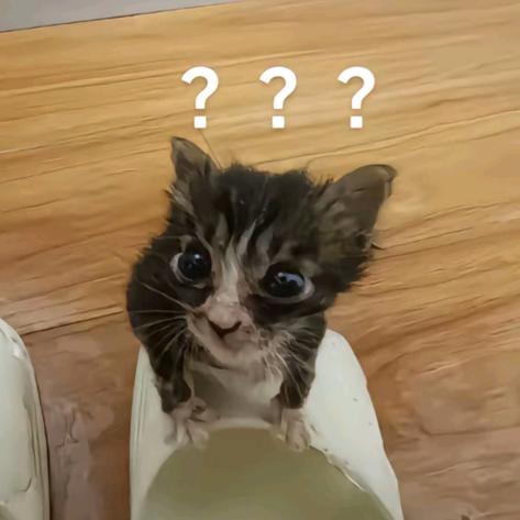 简见·