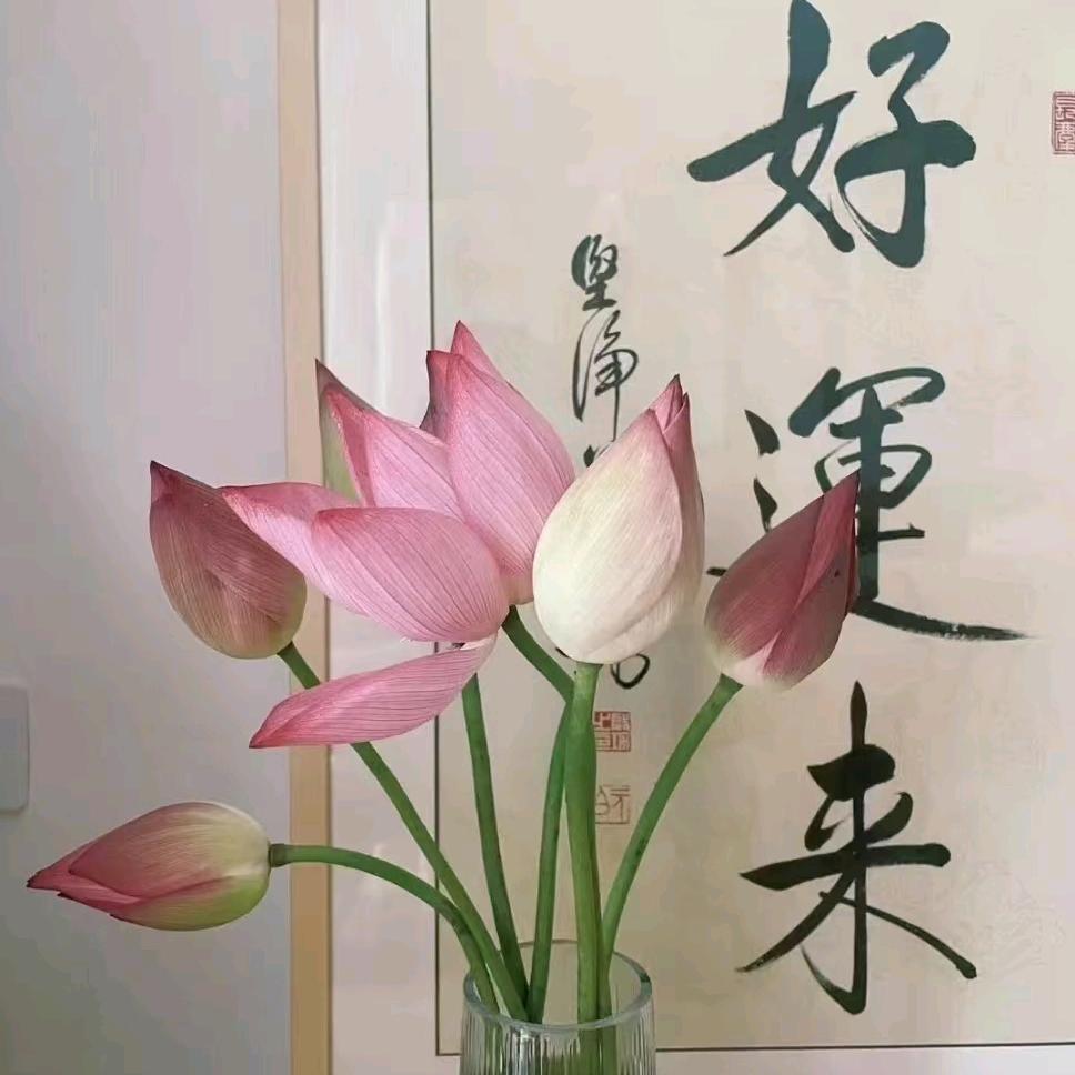 新弘祥