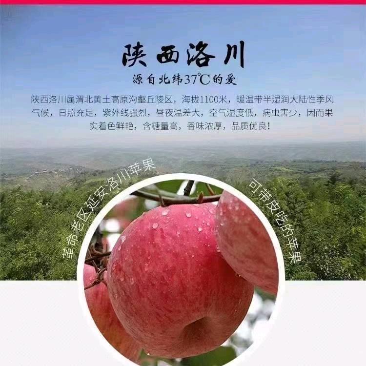 水果人家（做好自己）