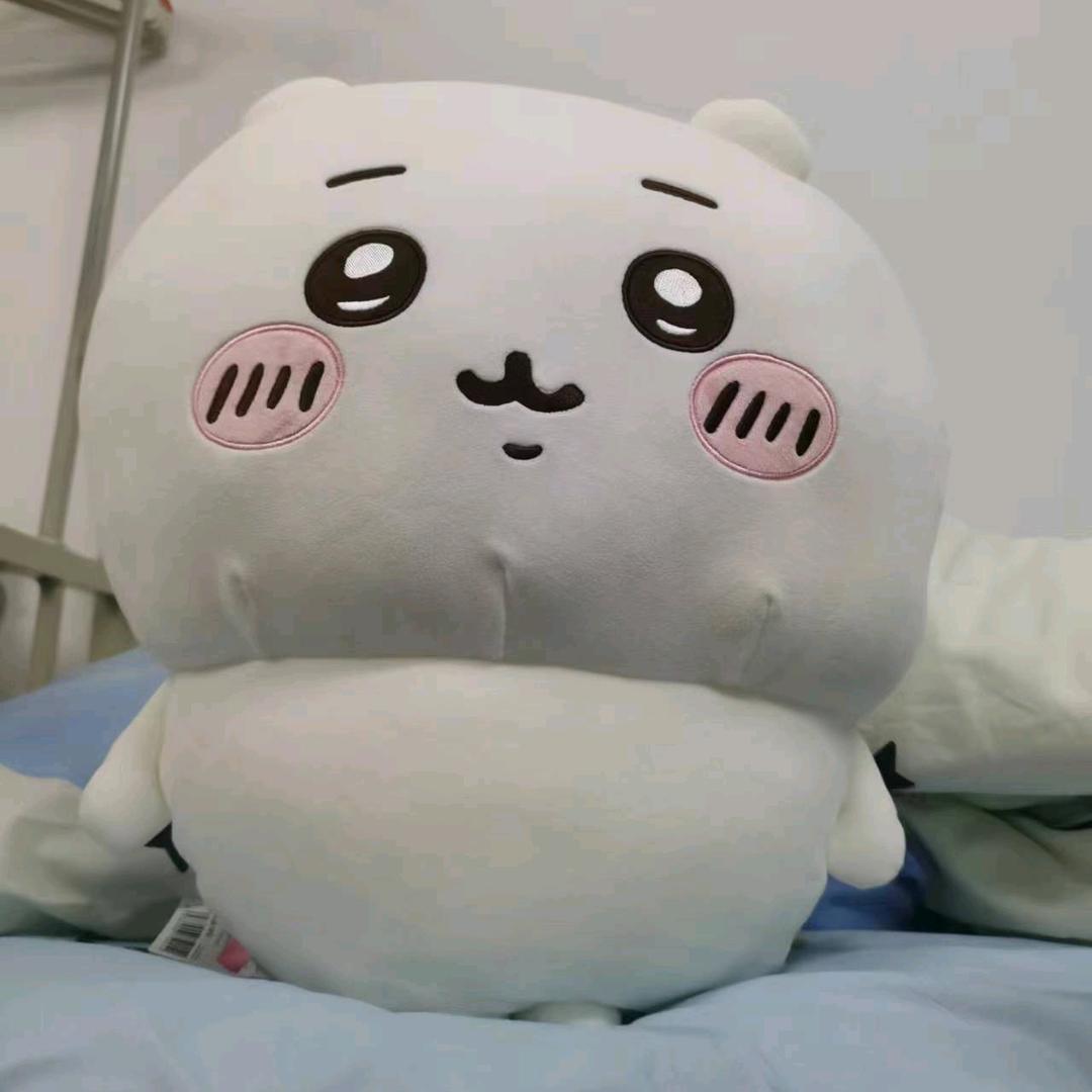 一座城一个人