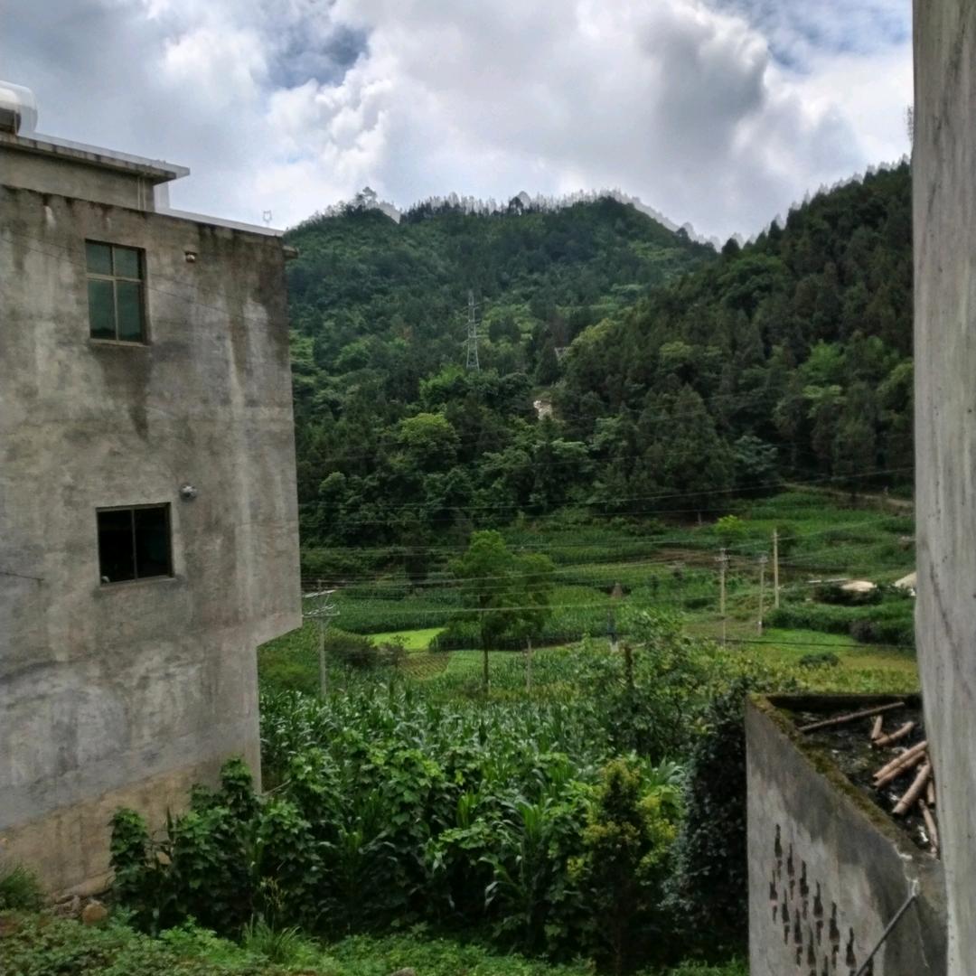 汤姆和杰瑞