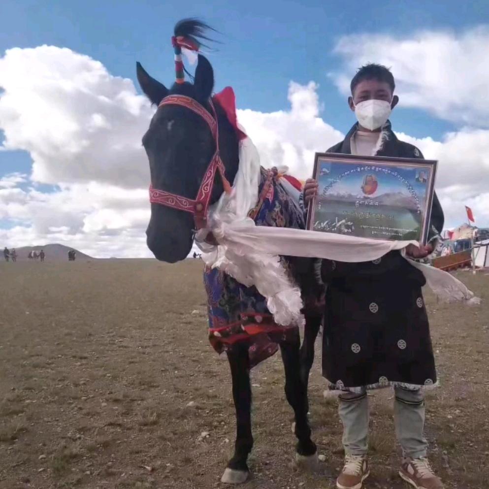 苏和博雅Kk琼野