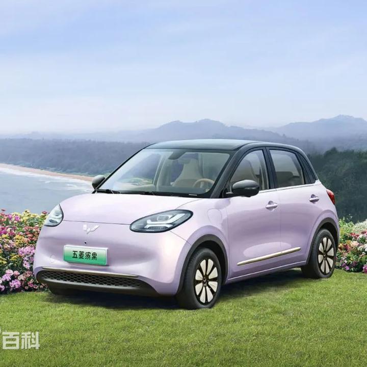 五菱缤果
