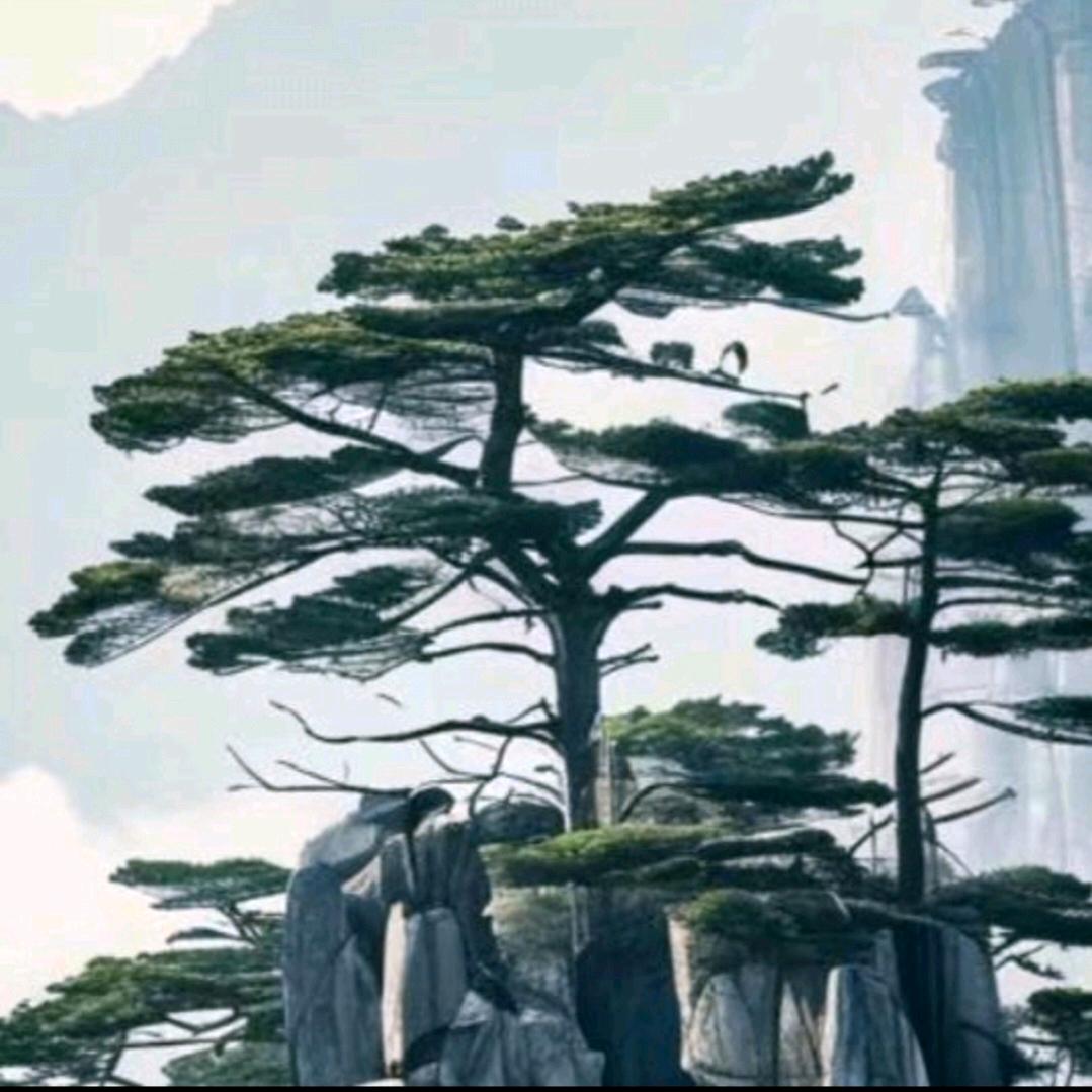 养殖场