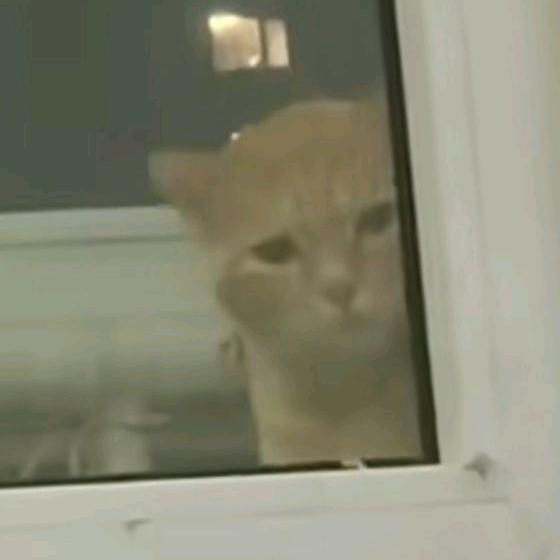 木啊.