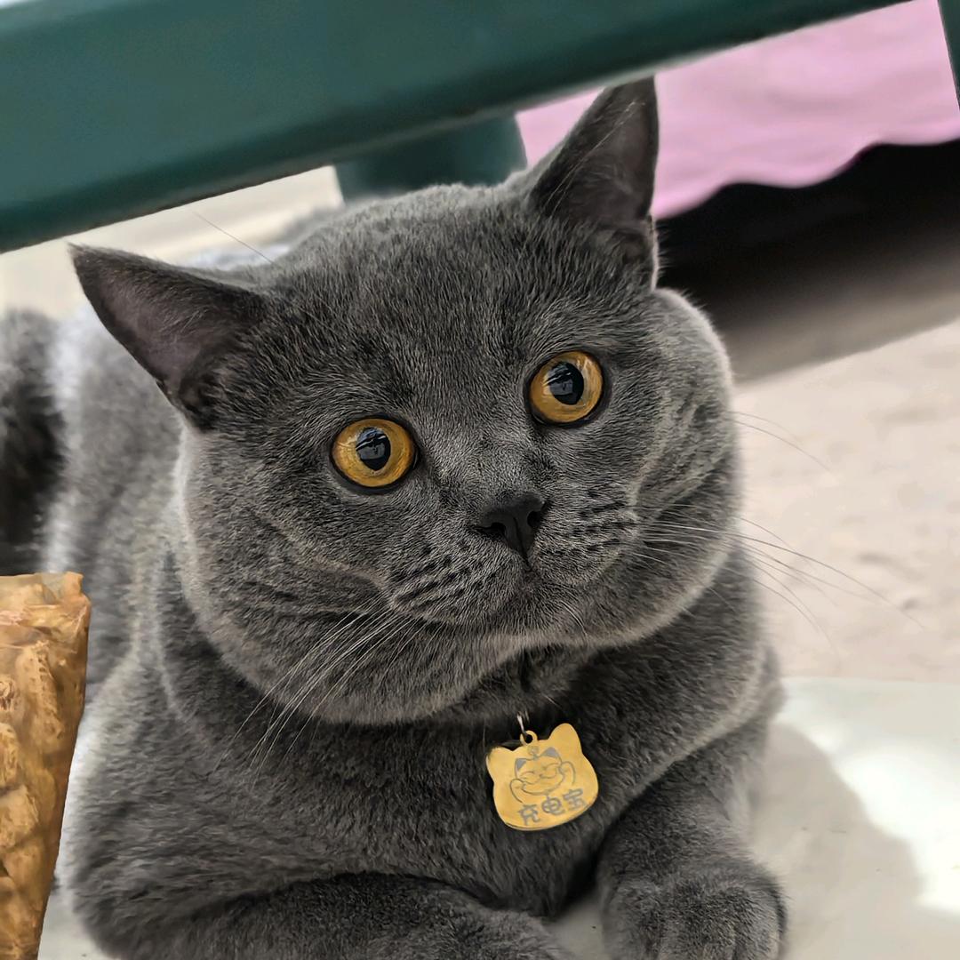 *^O^*