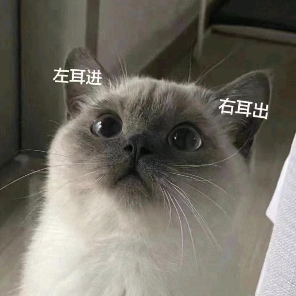 婷婷qwq