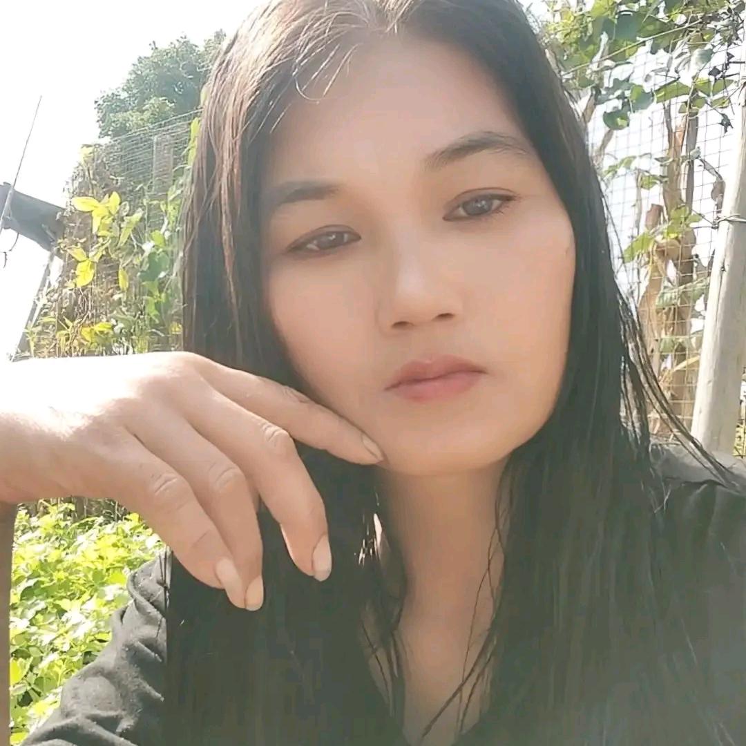 温柔的宝姐