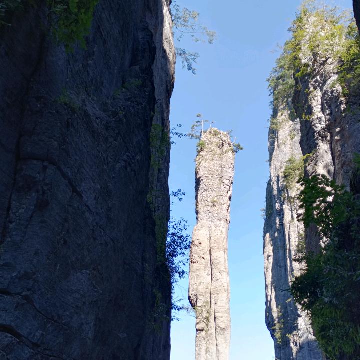 汪汪