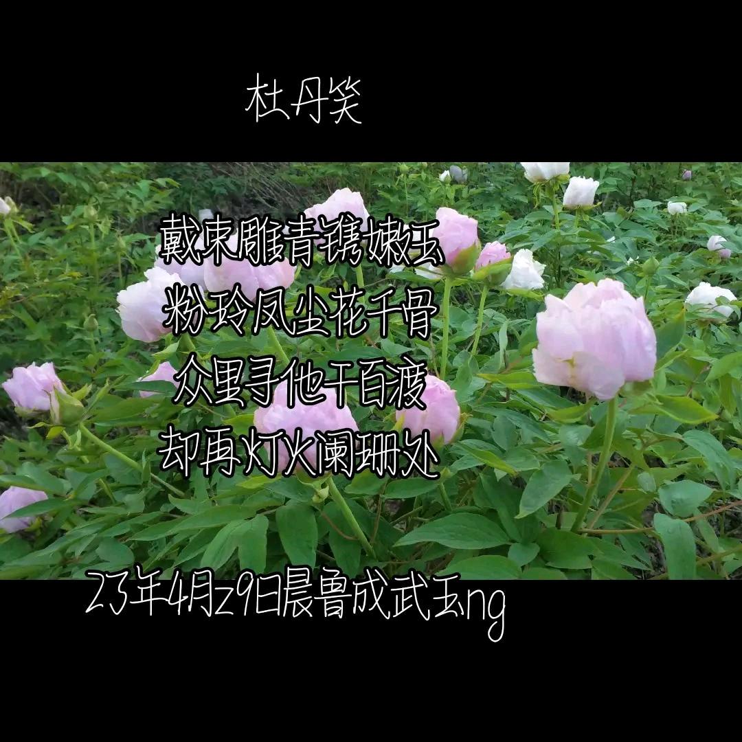 天马祥云