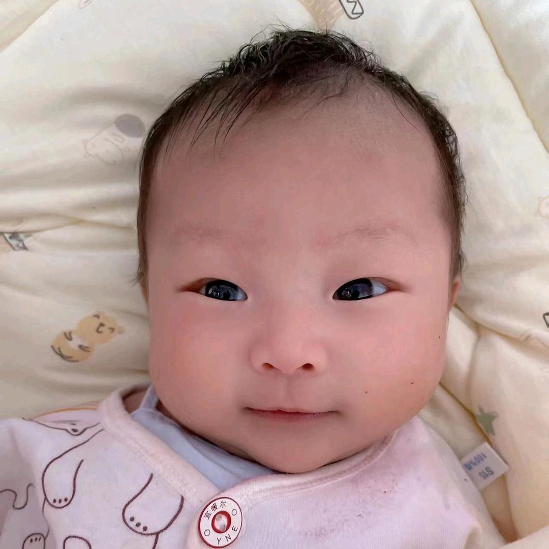 十二