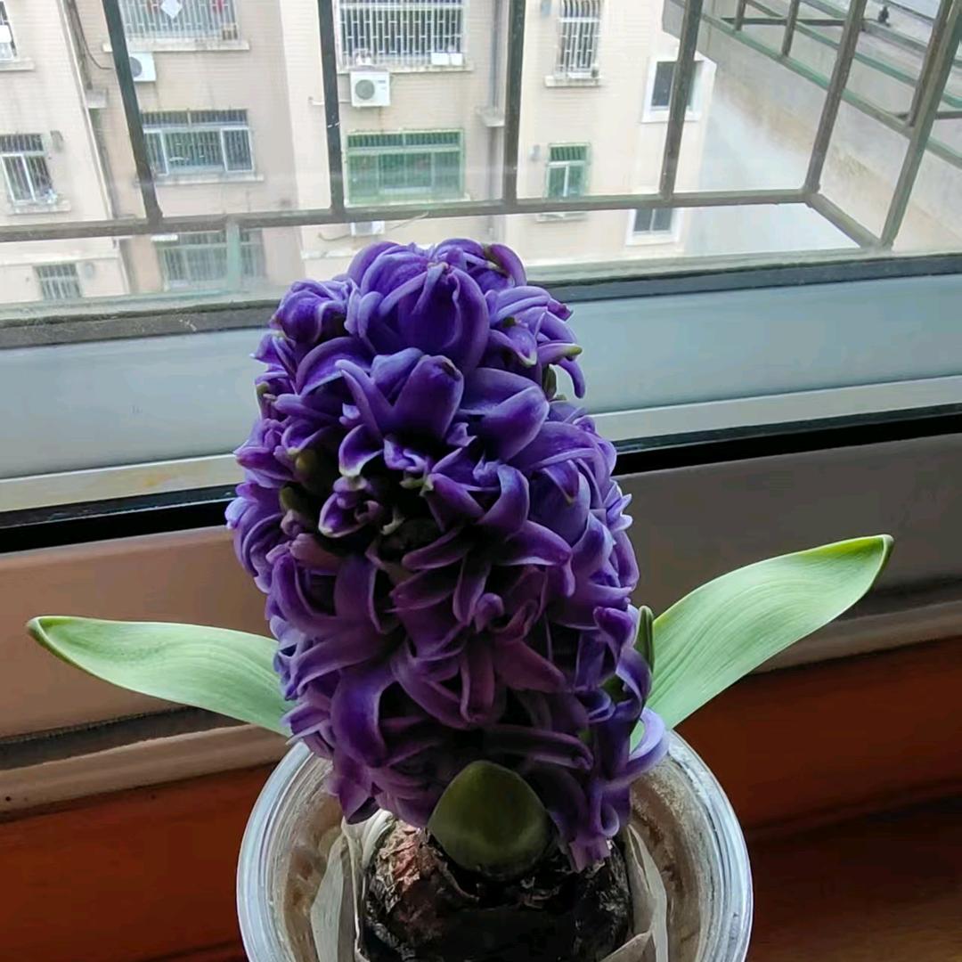博商二楼欧迪芬
