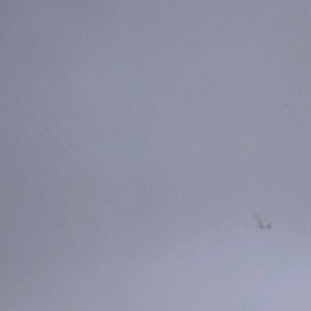 v..l