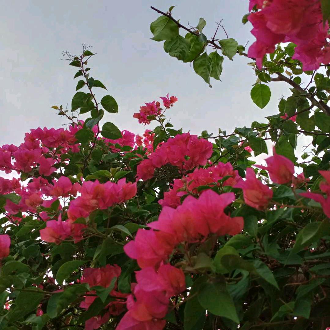一生无悔