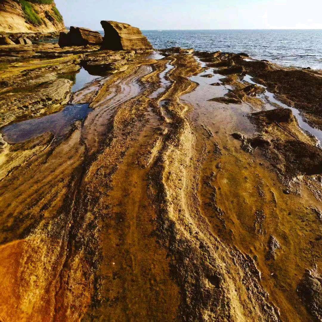 🌈🌈蚂蚁🌈🌈🌈🌈🌈🌈