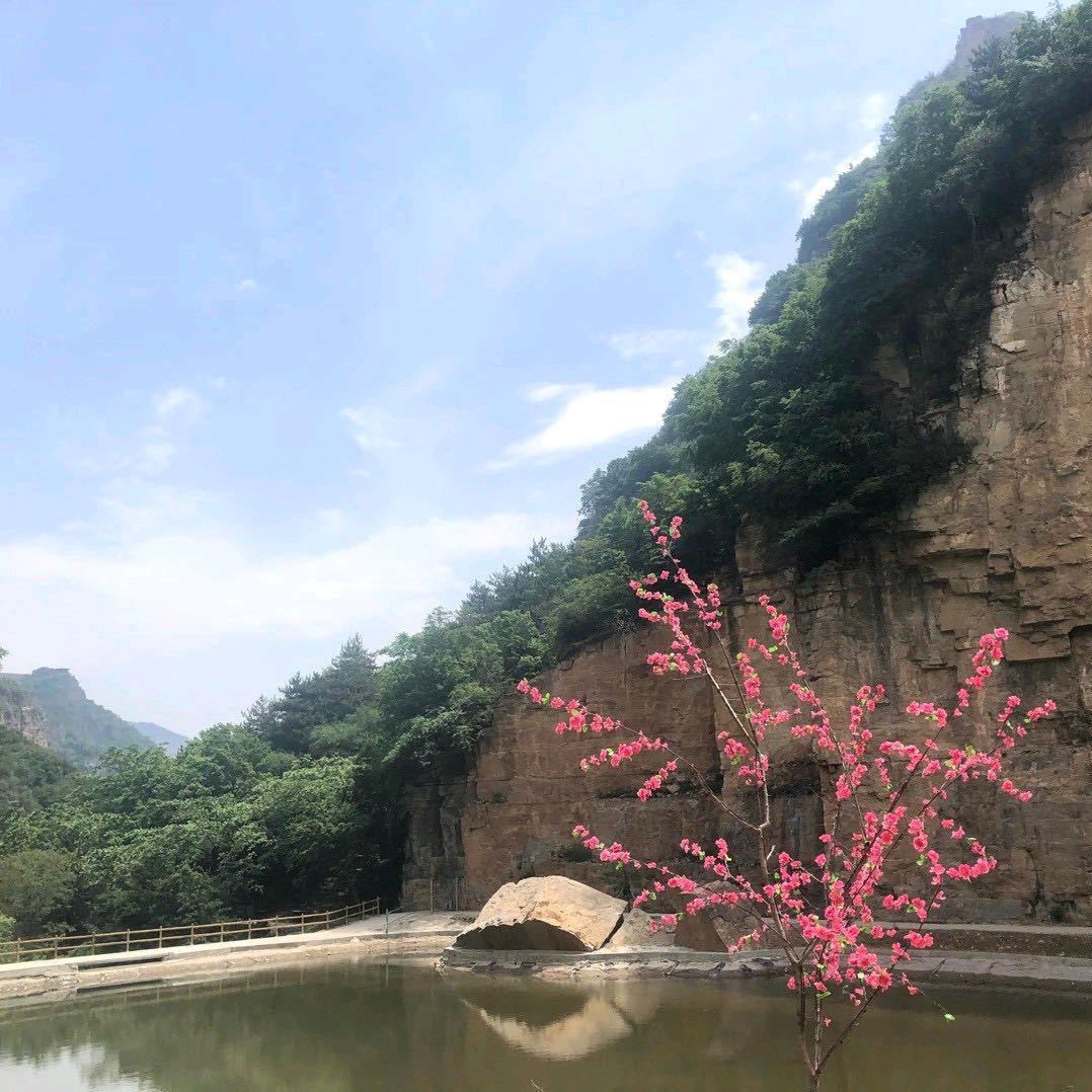 二少爷