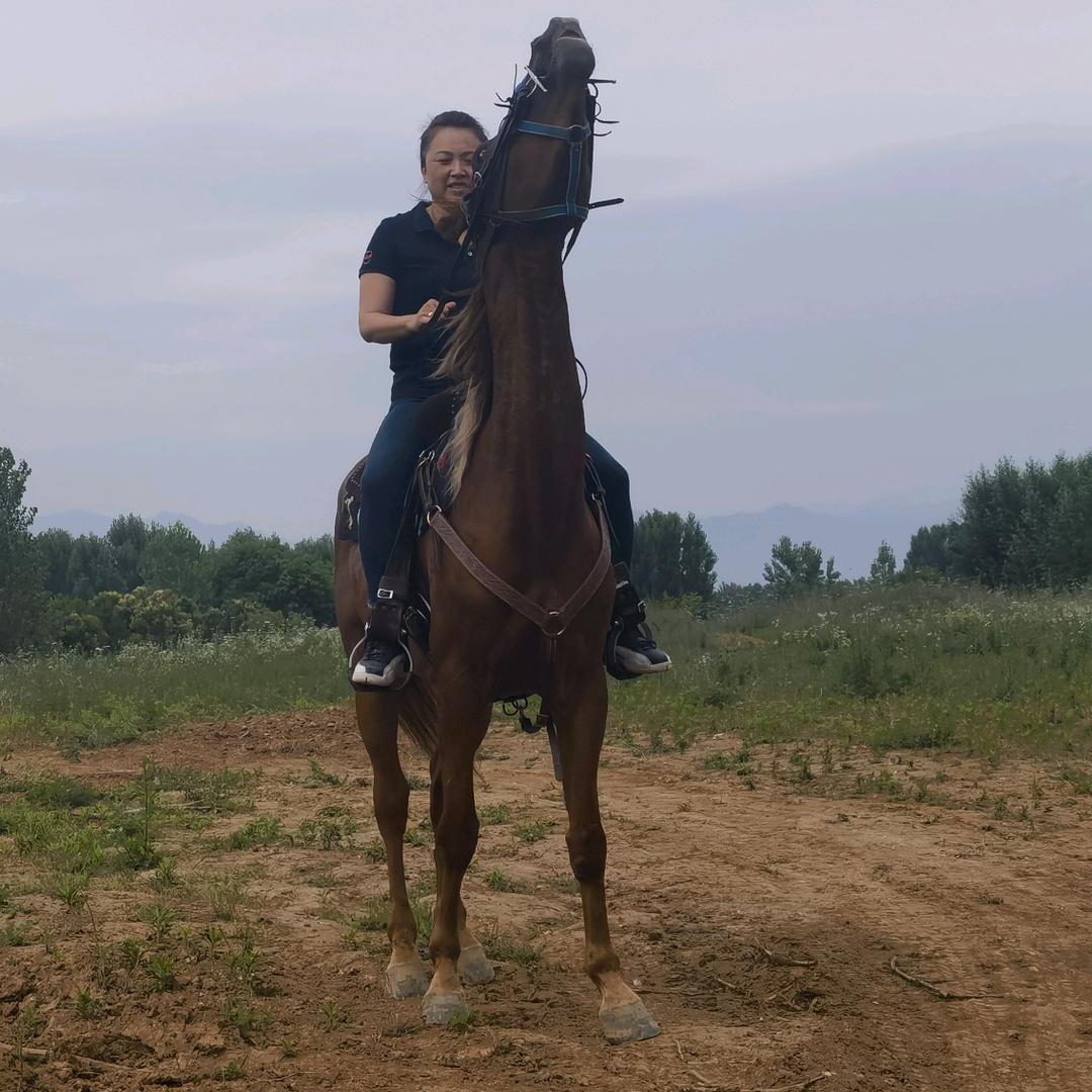 一路都是单枪匹马👊