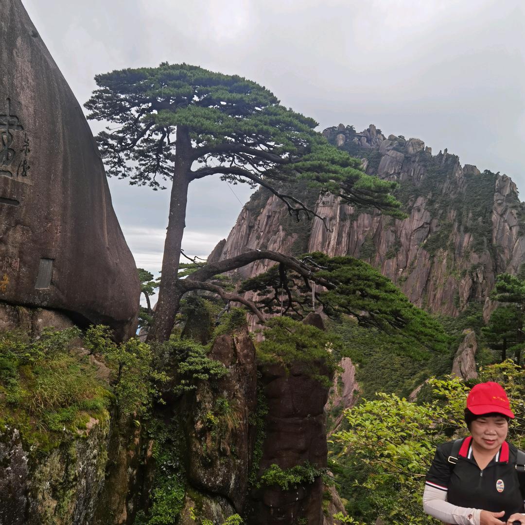 富太