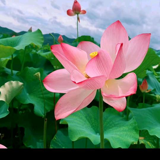🌈এ᭄幸福快乐ོএ᭄