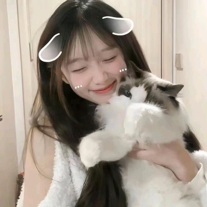 喵小姐短剧