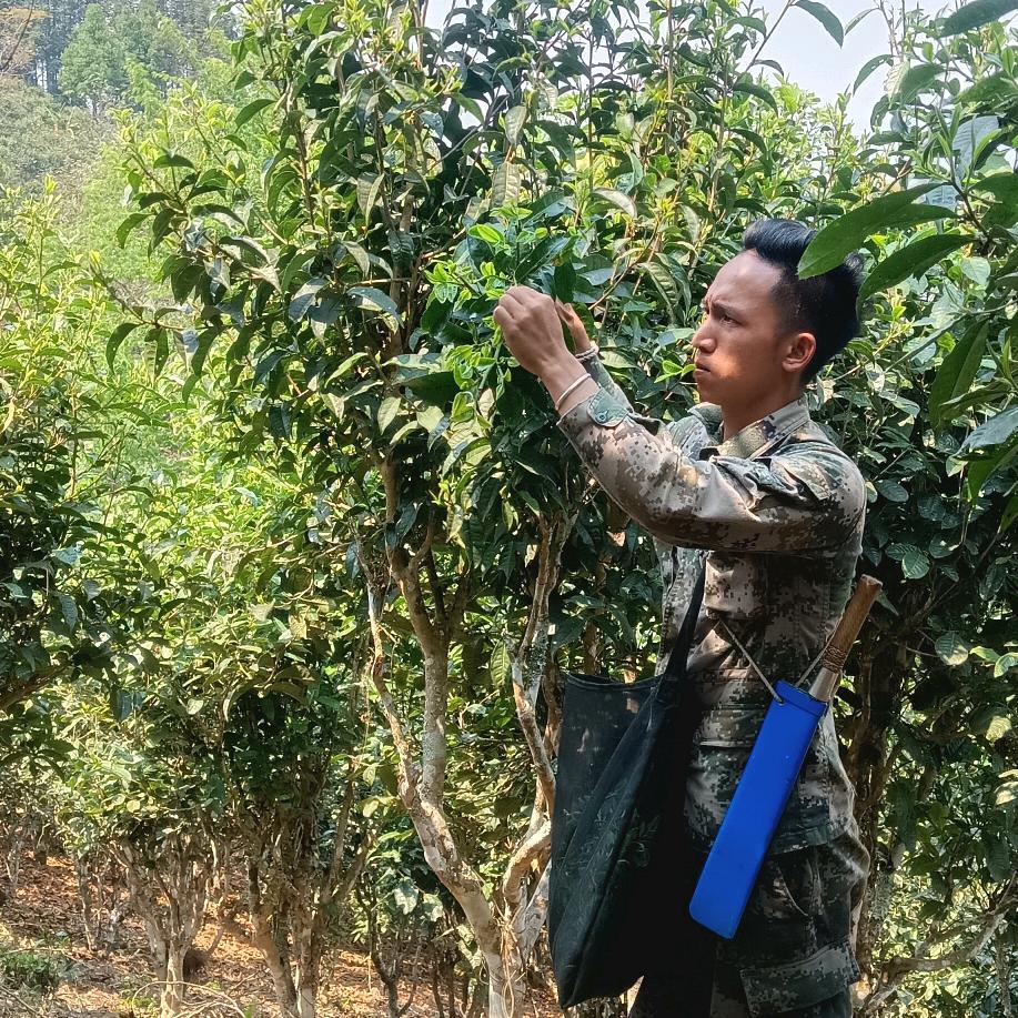 风吹十里  吹不动你的❤️