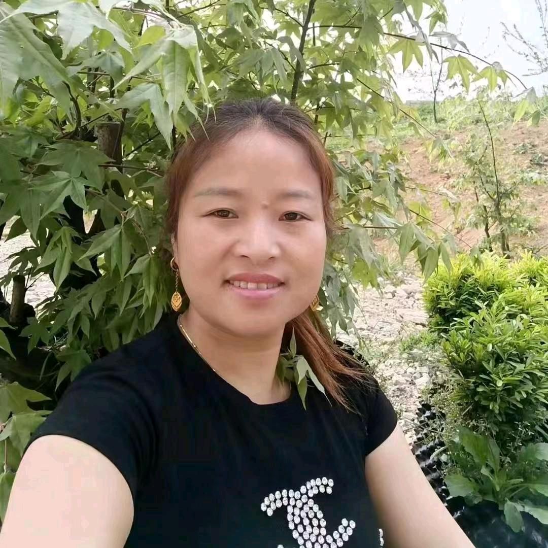 云南小秦³⁶⁹