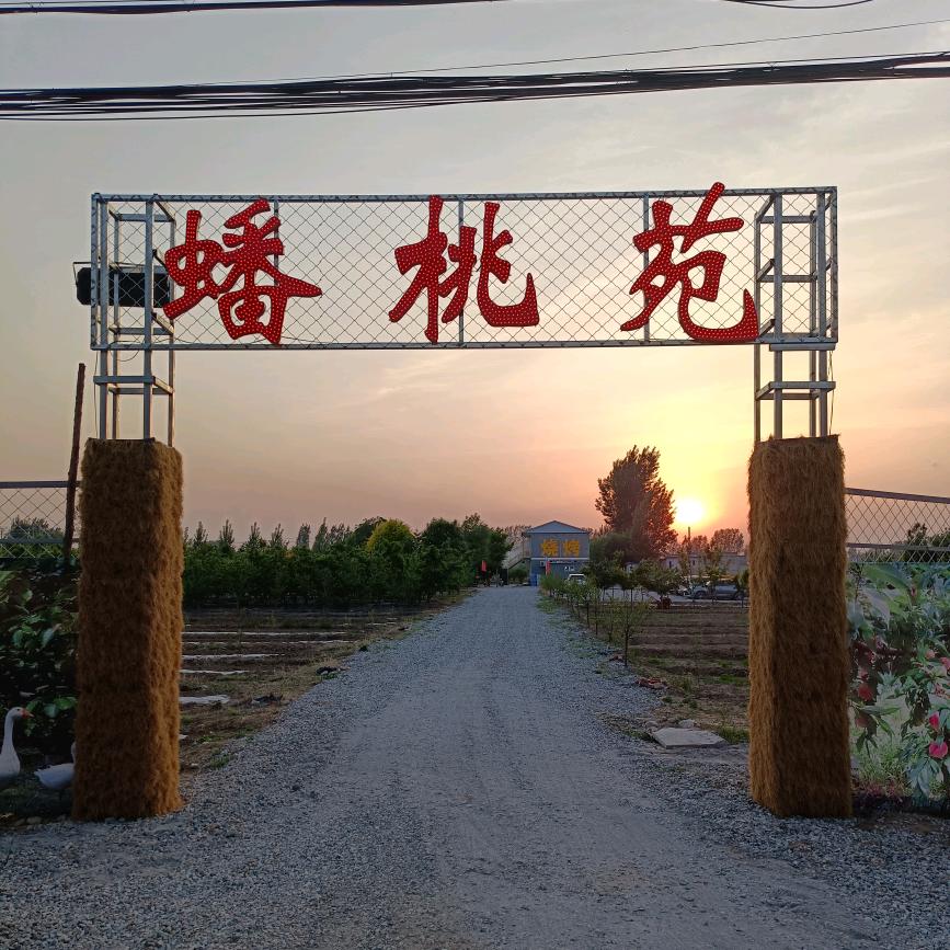 蟠桃苑