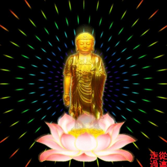 河南小张旅游世界🐁🌹