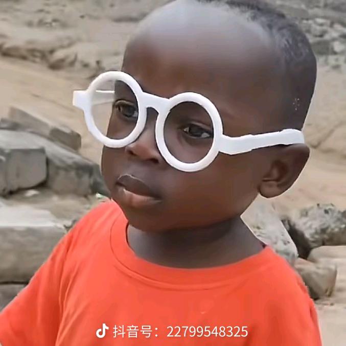 天上飞的只因