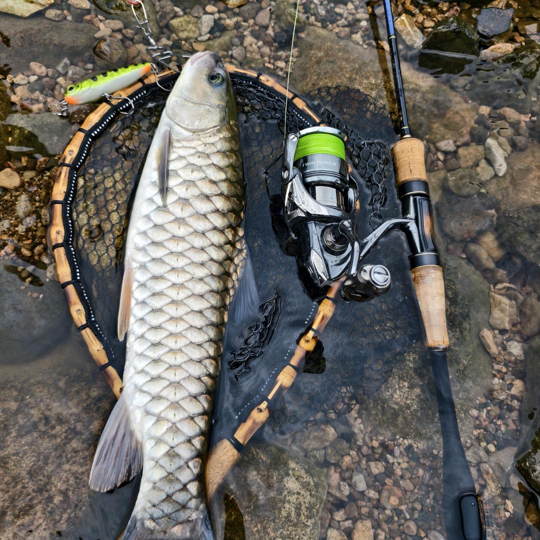 路亚小杰🎣