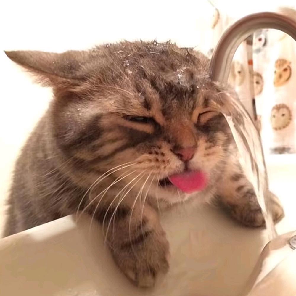 how.