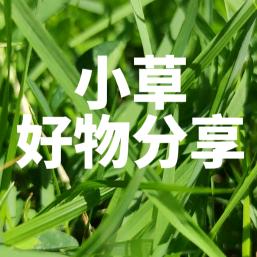 小草好物分享