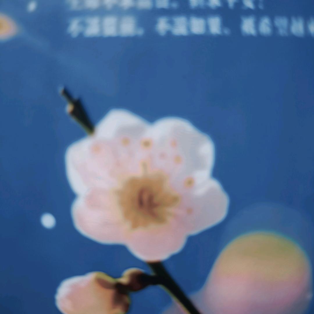 瑞