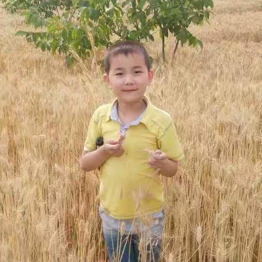 ．太阳是我啃园的