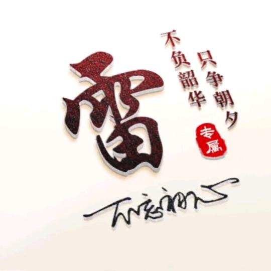勤奋的小雷