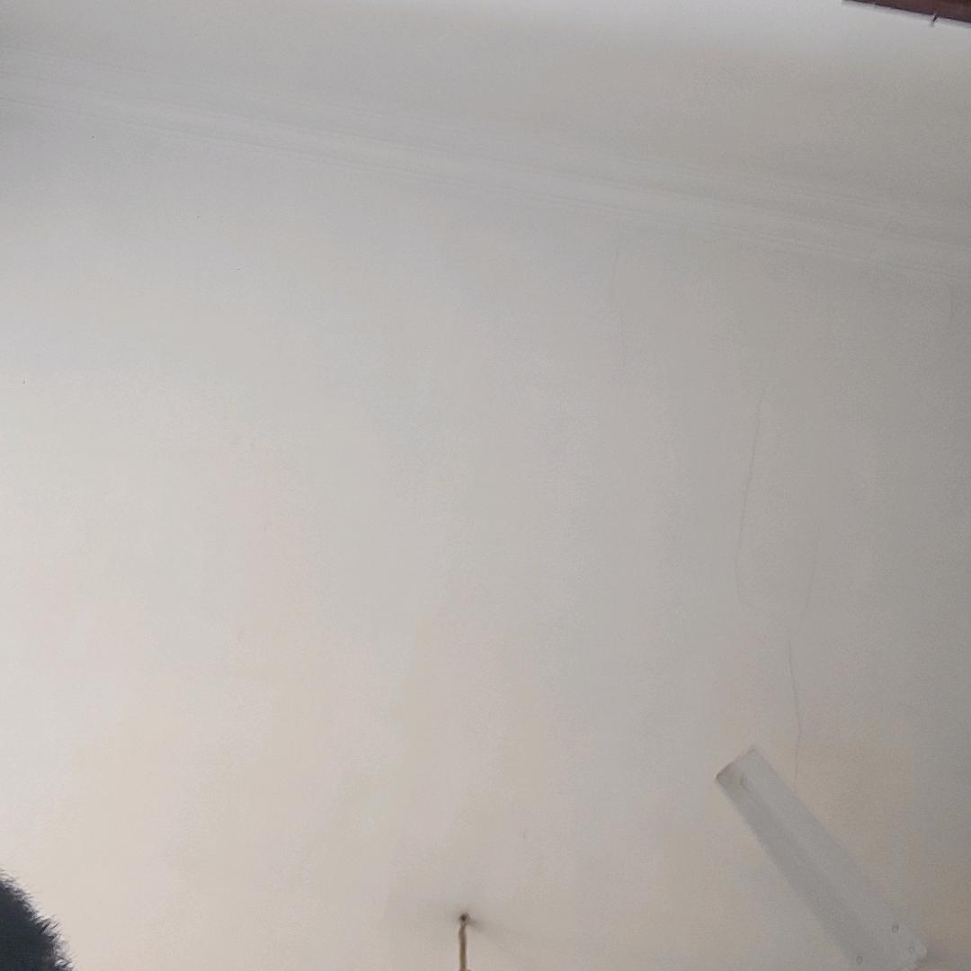 50742092262