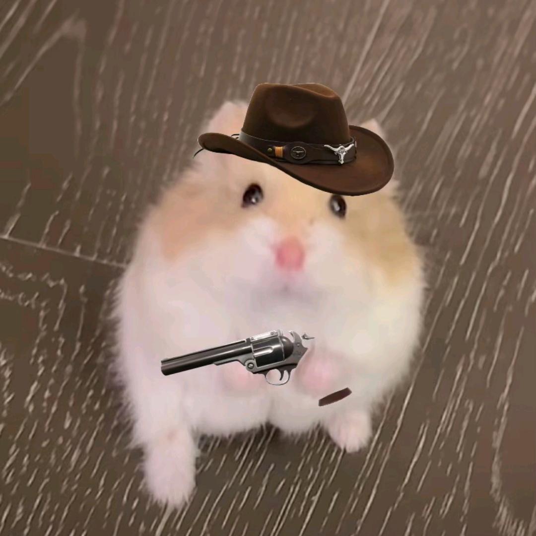 真理在手，天下我有