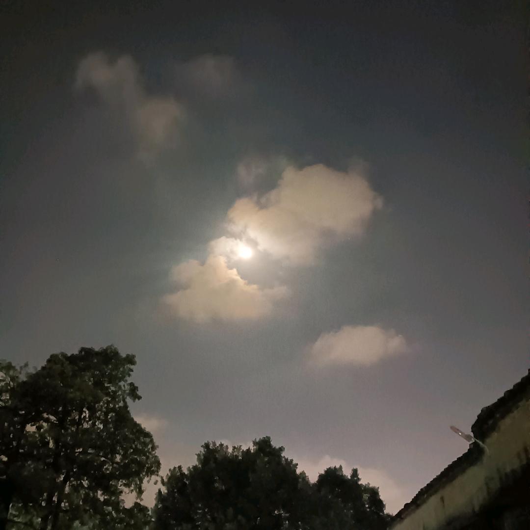 @꧔ꦿ᭄陌生人࿐: