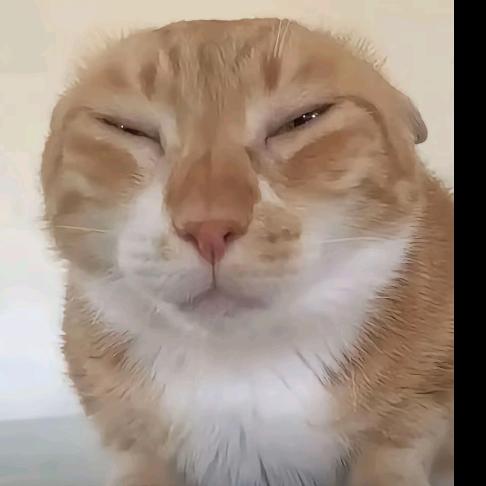 没劲儿的小俊