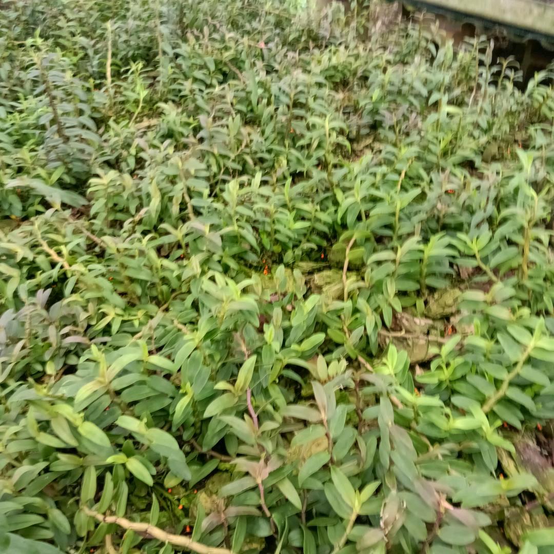 姐姐的坏脾气你宠不起