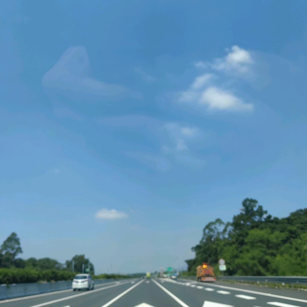 鑫总