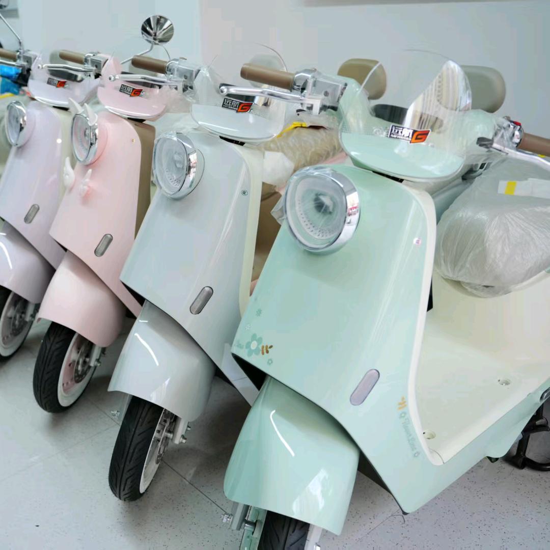 立马电动车(金色家园店)