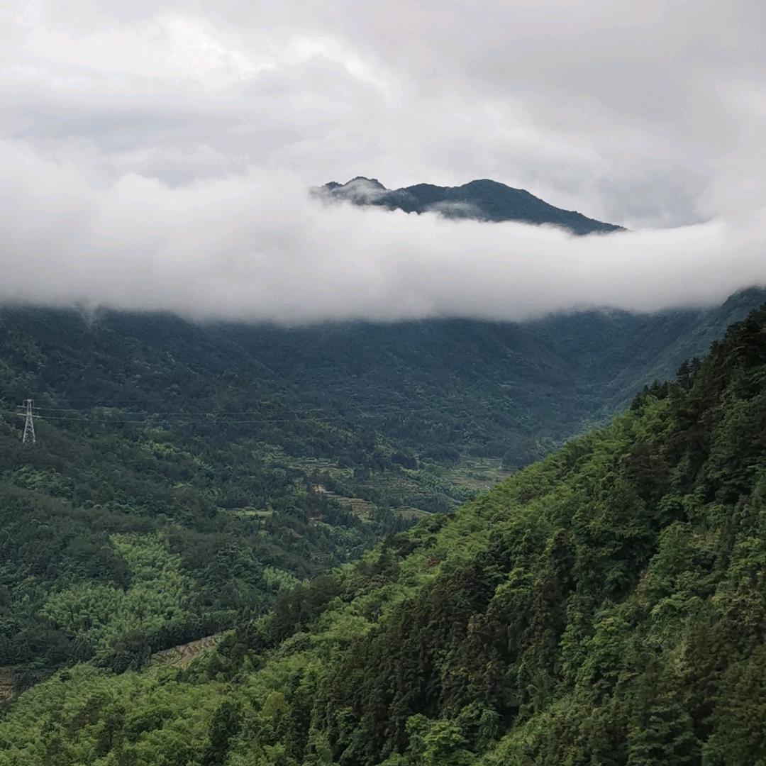宁德市保农狩猎队