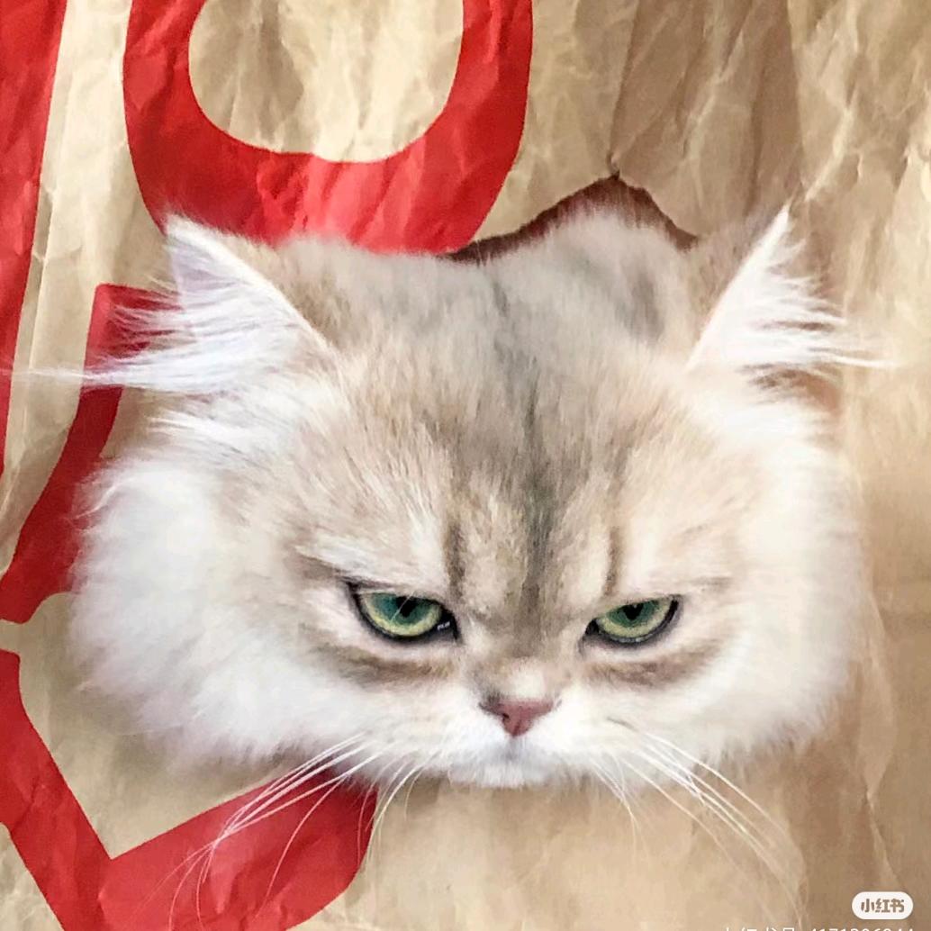 美女的指甲盖子(做穿戴甲版)