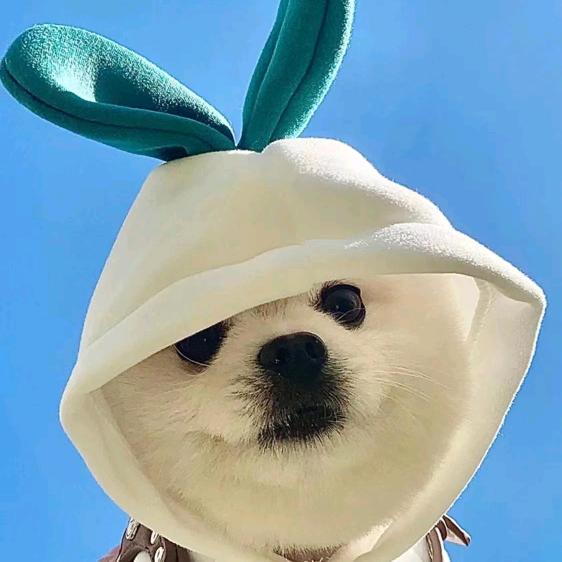 噔噔推文