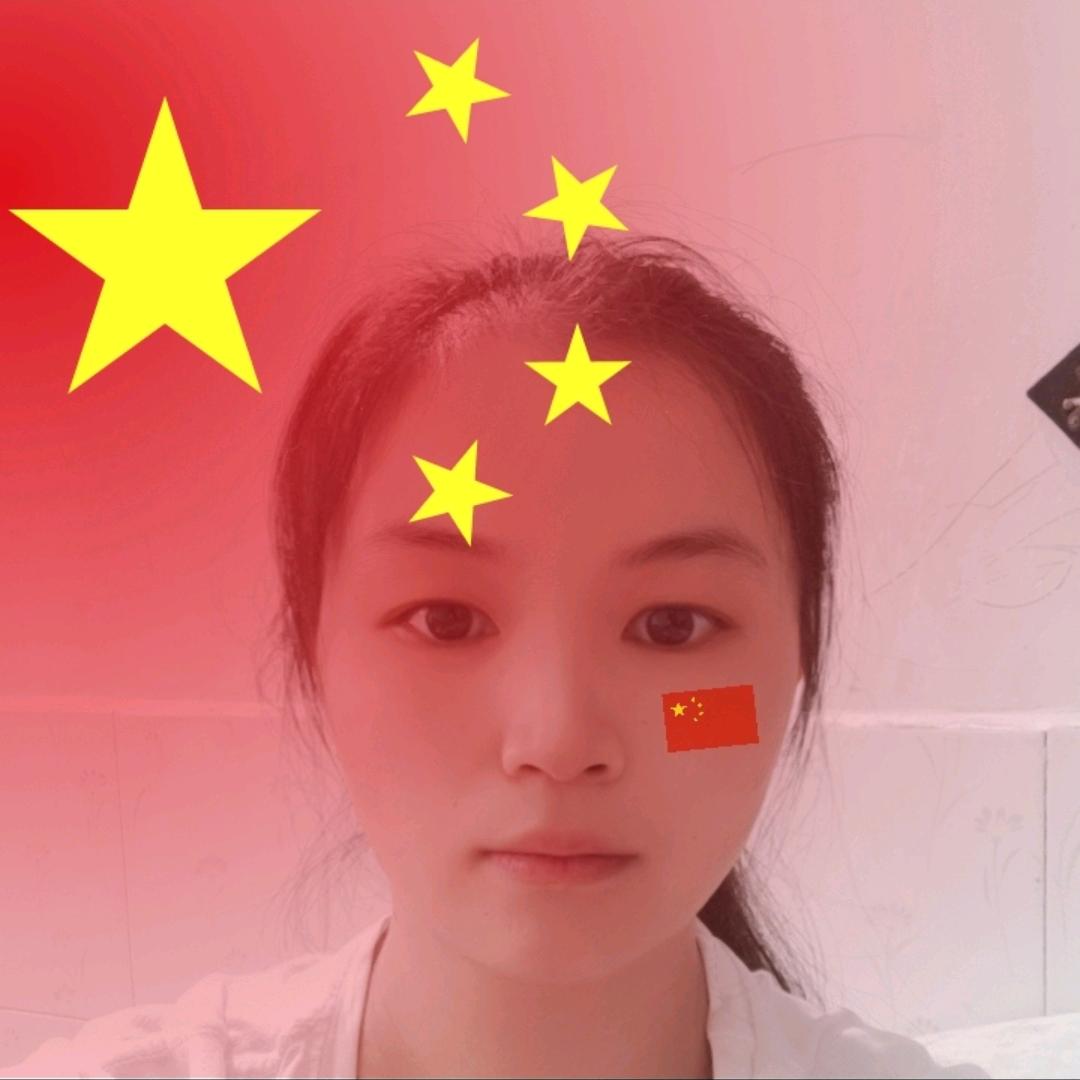 懒猫追剧