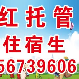 海红托管，好物在橱窗