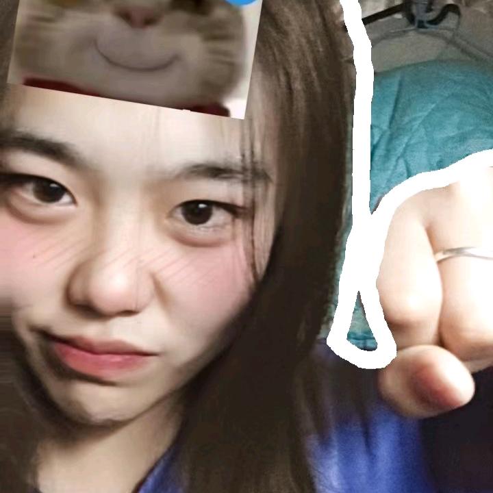 星河不入眼